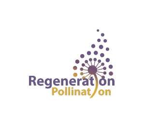 REGENPOLLINFINAL1