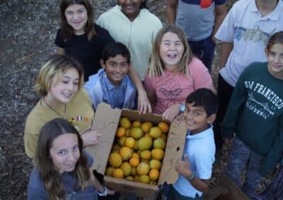 Poco Farm